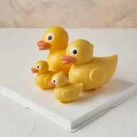 Chocolate Duck by NJD