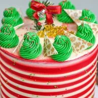 Christmas Rainbow Cake By Bloomsbury's