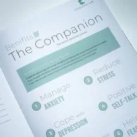 Companion Planner - Grey Green