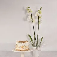 Croquant Cake & Orchids Bundle by Secrets