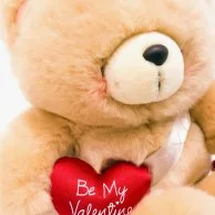 Cuddly Cupid Teddy Bear 