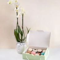 Cupcakes & Orchids Bundle by Sugar Daddy's Bakery