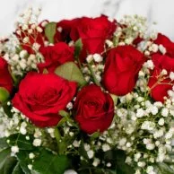 مجموعة كيكة القلب اللطيفة والورد الأحمر من سيكريتس