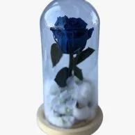 Dark blue long lasting rose