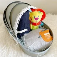 Dino Hide & Seek Basket - Gerber Baby