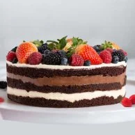 Double Choco and Berry Cake 