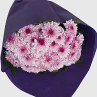 Double Colour Chrysanthemum Arrangement