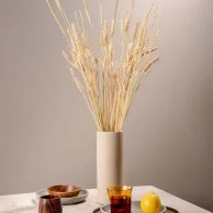 Dried Wheat 2 by Ashjar