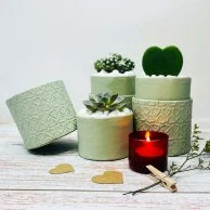 Garden Trio  - Mint Green - by WANDER POT