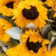 Get Well Soon Sunflowers Gift Bundle