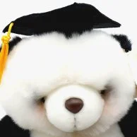 Hallmark Graduation Stuffed Panda Toy with Diploma