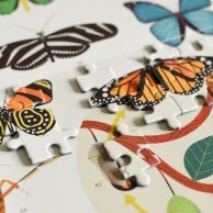أحجية الصور المقطوعة - الحشرات (500 قطعة) من بوبيك