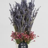 Lavender Breeze Arrangement 