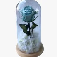 Light blue long lasting rose