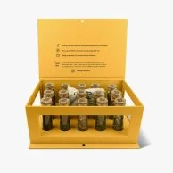 Light Yellow Discovery Box by Feel Good Tea