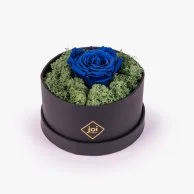 joi Luxury Long Life Rose Box - Blue