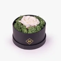 joi Luxury Long Life Rose Box - White