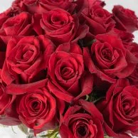 Love You XOXO Luxury Red Roses Bundle