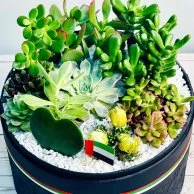 Lush Garden Box for UAE National Day by Wander Pot - Black