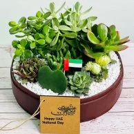 صندوق حديقة لاش لليوم الوطني الإماراتي من واندر بوت - بورجوندي