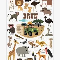 Mini Sticker Poster - Learning Colours - (Brown) By Poppik