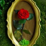 Mini Wall Frame by Forever Rose