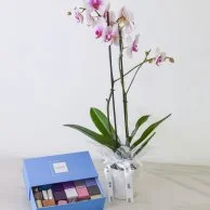Mixed Chocolate Box and Orchids Bundle By Lilac