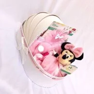 Assorted Disney Gift Basket