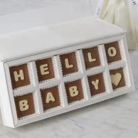 New Baby Girl Hydrangea Gift Bundle