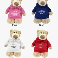 Personalised Mascot Bear With Hoodie - Multiple Colours