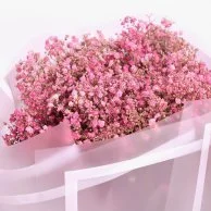 Pink Gypsophilia Hand Bouquet