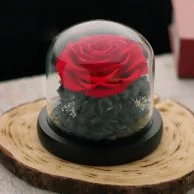 وردة حمراء داخل قبة زجاجية صغيرة من إيلوبا