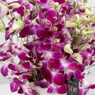 Purple Orchid Flower Arrangement