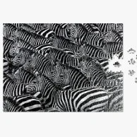 Puzzle - Zebra, Wildlife Pattern
