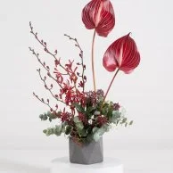 تنسيقة زهور الأنثوريوم الحمراء