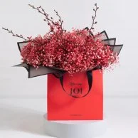 Red Gypsophila Flower Bag