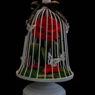 Red Rose White Love Cage by Forever Rose