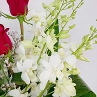 Red Roses and White Baby Orchids