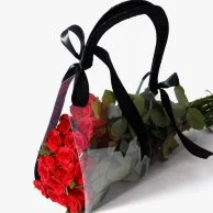 Roses Are Red Bag