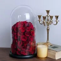 Dome of Love Red Roses Bundle