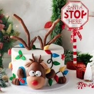 Rudolf Christmas Cake by Cake Social