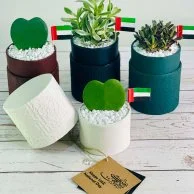 Plant Gift Boxes for UAE National Day by Wander Pot - Set of 4