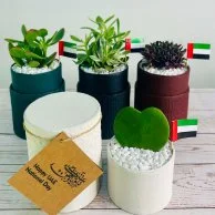 علب الهدايا النباتية لليوم الوطني الإماراتي من واندر بوت - مجموعة من 4