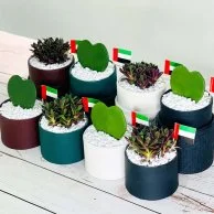 علب الهدايا النباتية لليوم الوطني الإماراتي من واندر بوت - مجموعة من 8