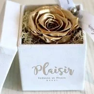 Single Infinity Gold Rose in White Box by Plaisir