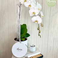 مجموعة هدايا زهرة الأوركيد، وشمعة فيساج وشوكولاتة باتشي باللون الأبيض من بليزير