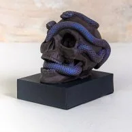 Snake Skull by NJD
