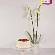 Strawberry Cake & Orchids Bundle by Secrets