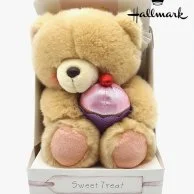 Sweet Treat Teddy Bear - Large 