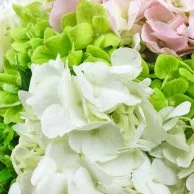 The Dashing One Hydrangea Bouquet